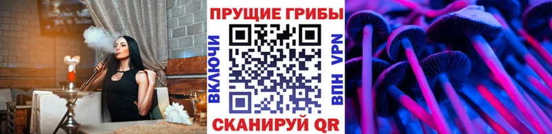 Купить закладки  Невельск  Псилоцибиновые грибы GOLDEN TEACHER 